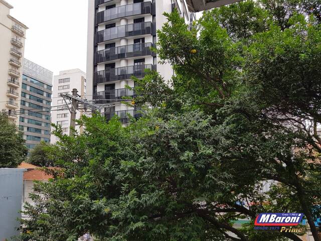 Casa para Locação em São Paulo - 3