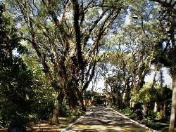 Terreno em condomínio para Venda em Cotia - 4