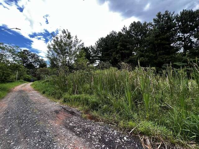 Terreno em Bolsão para Venda em Carapicuíba - 5