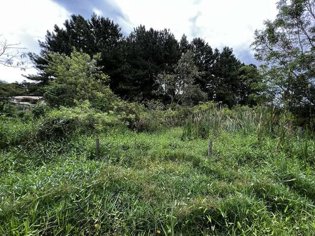 Terreno em Bolsão para Venda em Carapicuíba - 4