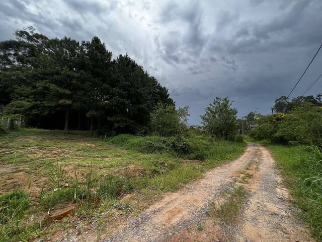 Terreno em Bolsão para Venda em Carapicuíba - 3