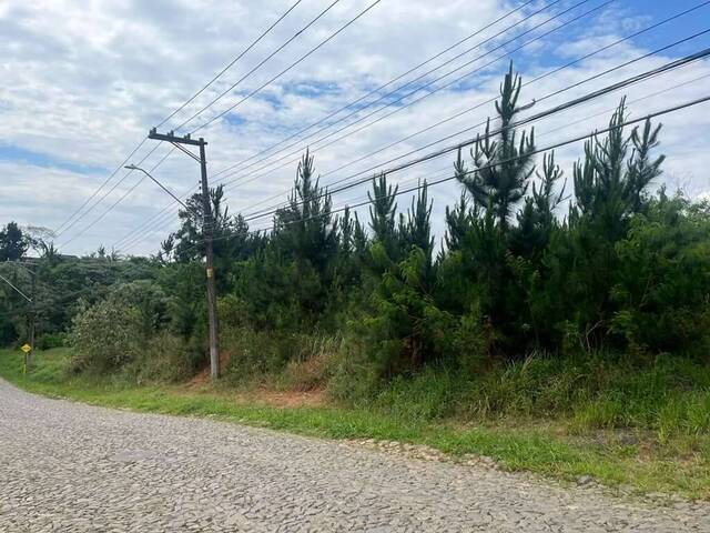 #1108 - Área para Incorporação para Venda em Cotia - SP - 3